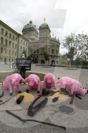 NEWS - Bern: Greenpeace reicht Petition für Import-Stopp von Fleisch und Futtermitteln ein
