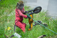 FEATURE - Noch immer beliebt in Indonesien: Strassen-Show mit maskierten Affen