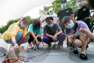 NEWS - Ein Strassenhändler verkauft Kätzchen im Pekinger Bezirk Chaoyang