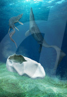 FEATURE - Riesiges versteinertes Ei aus der Antarktis wurde möglicherweise vor 66 Millionen Jahren von riesigem Meeresreptil gelegt