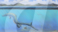 FEATURE - Riesiges versteinertes Ei aus der Antarktis wurde möglicherweise vor 66 Millionen Jahren von riesigem Meeresreptil gelegt