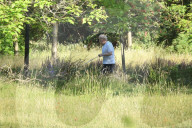 Boris Johnson running this morning with dog Dilyn.