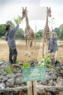 Plans for the reopening of the Wild Place Project, the sister site of Bristol Zoo which has been closed due to Coronavirus - animal keepers Daniella Pierce-Butler (right) and Charley Lennon feed the giraffes