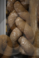 Patisserie Bakery made entirely from Knitted food