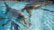 FEATURE - Roboter-Delphine könnten in Freizeitparks und Aquarien die echten Tiere ersetzen