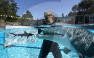 FEATURE - Roboter-Delphine könnten in Freizeitparks und Aquarien die echten Tiere ersetzen