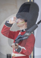 London heatwave. A guard overheats at Buckingham Palace.