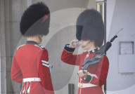 London heatwave. A guard overheats at Buckingham Palace.