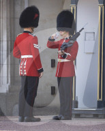 London heatwave. A guard overheats at Buckingham Palace.