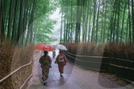 NEWS - Coronavirus: Wenig Touristen auf dem berühmten Bambusweg in Arashiyama, Kyoto, Japan