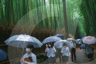 NEWS - Coronavirus: Wenig Touristen auf dem berühmten Bambusweg in Arashiyama, Kyoto, Japan