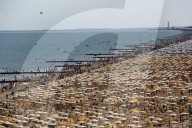 NEWS - Coronavirus: Strandleben in Jesolo bei Venedig