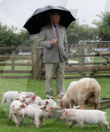 Prince Charles visit to Gloucestershire, UK - 01 Jul 2020