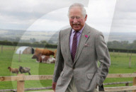 Prince Charles visit to Gloucestershire, UK - 01 Jul 2020