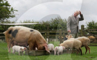 Prince Charles visit to Gloucestershire, UK - 01 Jul 2020