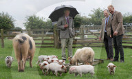 Prince Charles visit to Gloucestershire, UK - 01 Jul 2020