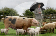 Prince Charles visit to Gloucestershire, UK - 01 Jul 2020