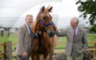 Prince Charles visit to Gloucestershire, UK - 01 Jul 2020