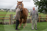 Prince Charles visit to Gloucestershire, UK - 01 Jul 2020