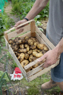 Britain beyond lockdown: can we make more space for nature? 