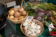 Britain beyond lockdown: can we make more space for nature? 