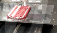 FEATURE - Das weltweit erste 3D-gedruckte Steak auf pflanzlicher Basis könnte schon nächstes Jahr in Pfannen brutzeln
