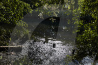 Revealed: raw sewage poured into Olympic Park wildlife haven. Raw sewage was discharged for more than 1,000 hours from a Thames Water overflow pipe into an environmental wetland at the Olympic Park last year, 