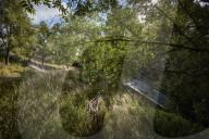Revealed: raw sewage poured into Olympic Park wildlife haven. Raw sewage was discharged for more than 1,000 hours from a Thames Water overflow pipe into an environmental wetland at the Olympic Park last year, 