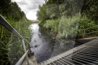 Revealed: raw sewage poured into Olympic Park wildlife haven. Raw sewage was discharged for more than 1,000 hours from a Thames Water overflow pipe into an environmental wetland at the Olympic Park last year, 