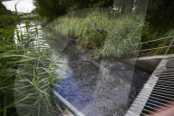 Revealed: raw sewage poured into Olympic Park wildlife haven. Raw sewage was discharged for more than 1,000 hours from a Thames Water overflow pipe into an environmental wetland at the Olympic Park last year, 