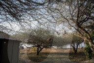 Team Lioness: the Kenyan women rangers risking their lives for wildlife