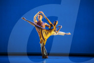 Performing arts archive