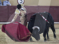 NEWS - Erster Stierkampf nach dem Corona-Lockdown im spanischen Avila