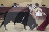 NEWS - Erster Stierkampf nach dem Corona-Lockdown im spanischen Avila