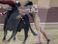 NEWS - Erster Stierkampf nach dem Corona-Lockdown im spanischen Avila
