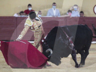 NEWS - Erster Stierkampf nach dem Corona-Lockdown im spanischen Avila