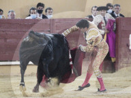 NEWS - Erster Stierkampf nach dem Corona-Lockdown im spanischen Avila
