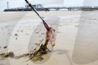 ‘It was so gross, I nearly cried’: Meet the UK’s litter-picking army – fighting our rising tide of filth. Thousands of volunteers are trying to keep Britain clean as people go wild after lockdown. We join some in Bournemouth, as they face the disca