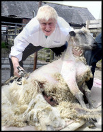 Boris Johnson One Year Anniversary as the Prime Minister