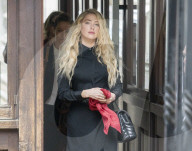 Amber Heard Johnny Depp court case