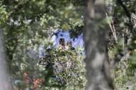 NEWS - Vermisstenfall Maddie McCann: Durchsuchung und Grabung in einem Kleingarten in Zusammenhang in Seelze 