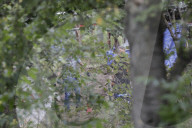NEWS - Vermisstenfall Maddie McCann: Durchsuchung und Grabung in einem Kleingarten in Zusammenhang in Seelze 