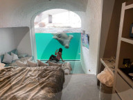 FEATURE - Park in Belgien bietet hautnahe Einblicke in die Welt der wilden Tiere