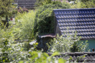 NEWS - Fall Maddie: Neue Spuren in Braunschweig im Gartenverein Kennelblick vermutet