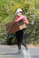 Sophia Bush does some serious heavy lifting as she carries boxes of belongings and personal possessions from a moving truck to her LA home. 