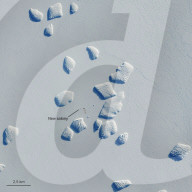 A penguin colony on Ninnis Bank, Antarctica.
