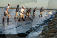 REPORTAGE - Heimat des Fleur de Sel:  Die Salzbauern von Aigues-Mortes
