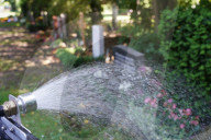 FEATURE - Rainos Roboter zur automatischen Bewässerung von Gräbern  auf dem Friedhof in Hamburg