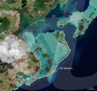 Mauritius oil spill