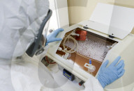 NEWS - Coronavirus: Weltweit erster Impfstoff gegen COVID-19 in Russland entwickelt
